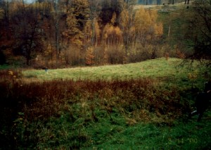 Sosnówka - widok na działkę z góry
