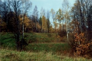 Sosnówka - widok na stok - górna część działki